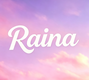Raina测试学习指南